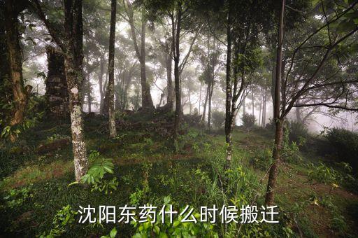 有沈陽東北制藥搬遷是什么時候嗎，沈陽東藥什么時候搬遷