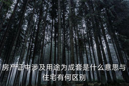 什么是成套項(xiàng)目，什么叫中型成套工程項(xiàng)目