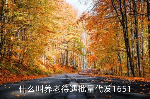 什么叫代發(fā)養(yǎng)老金，養(yǎng)老金代發(fā)機(jī)構(gòu)是指什么