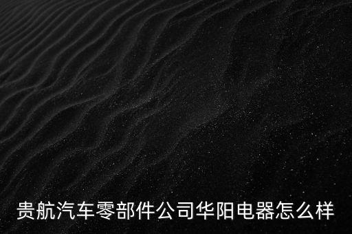 貴航集團華陽電工廠是什么企業(yè)，貴航汽車零部件公司華陽電器怎么樣
