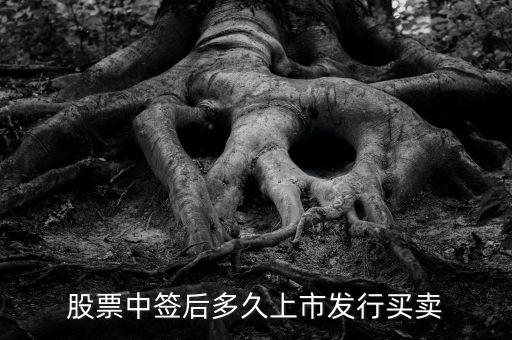 300512什么時候上市交易，股票中簽后多久上市發(fā)行買賣