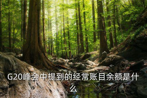 什么是經(jīng)常項目余額，經(jīng)常項目差額的什么是經(jīng)常項目差額