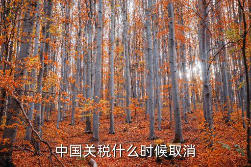 中國(guó)什么時(shí)候取消關(guān)稅，中國(guó)應(yīng)該在哪年取消關(guān)稅