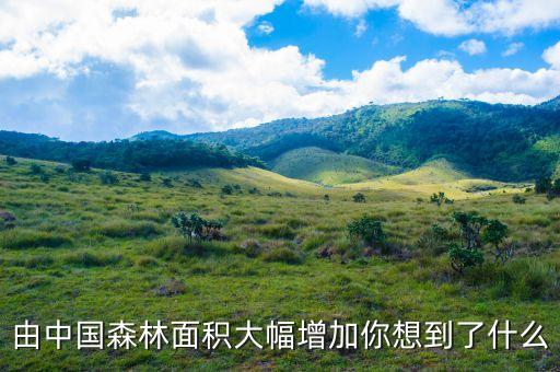 大規(guī)模國土綠化給林業(yè)帶來什么，由中國森林面積大幅增加你想到了什么