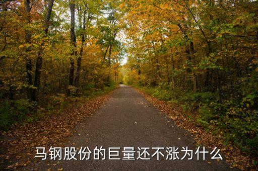 馬鋼集團(tuán)為什么還不倒，馬鋼集團(tuán)為什么沒排在世界500強(qiáng)中