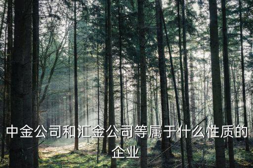 中金公司是什么性質(zhì)的，石家莊中金投資咨詢有限公司