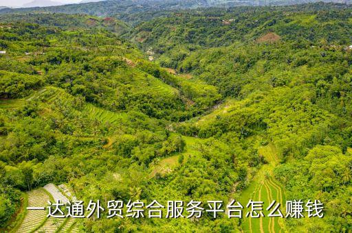 一達(dá)通靠什么盈利，阿里巴巴 一達(dá)通 利潤怎么提出