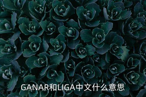 人民幣勝什么意思，韓版惡作劇之吻高中畢業(yè)勝祖跟哈妮照相時(shí)勝祖說(shuō)的錢是什么意