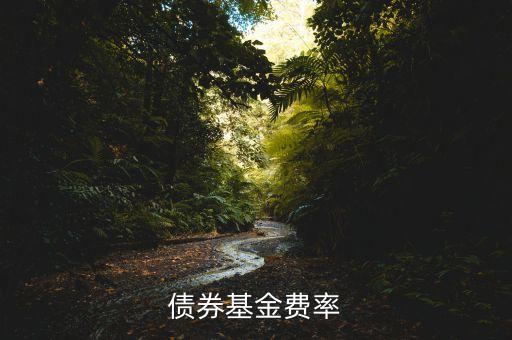 債券基金費(fèi)率什么意思，債券基金費(fèi)率
