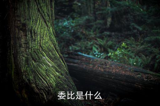 什么是委比指標，股票里面的委比是什么意思
