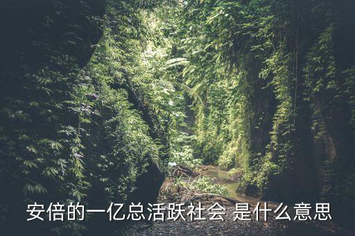 一億總活躍社會是什么， 安倍的一億總活躍社會 是什么意思