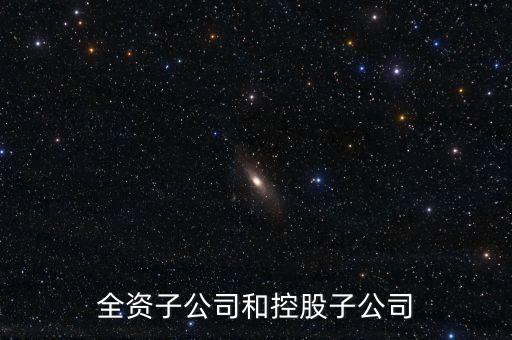 全資控股子公司是什么意思，全資子公司是怎么意思啊