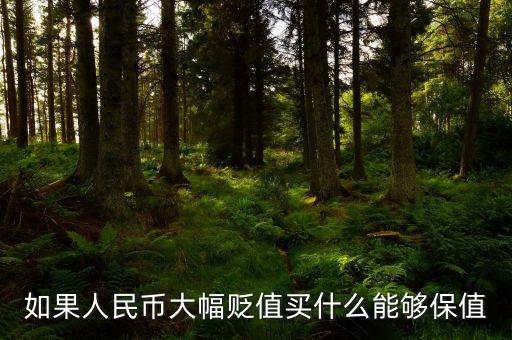 錢貶值買什么，人民幣貶值買什么好