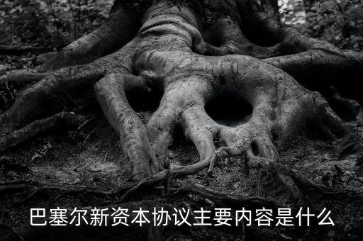 新資本協(xié)議是什么，新巴塞爾資本協(xié)議的介紹