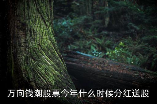 萬(wàn)向錢(qián)潮股票今年什么時(shí)候分紅送股