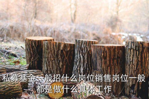 私募公司的市場部做什么，投資公司的市場部職員主要做什么