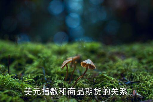 燃油指數(shù)和燃油期貨什么關(guān)系，美元指數(shù)和商品期貨的關(guān)系