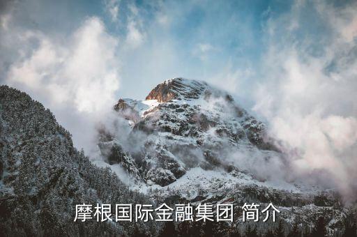 摩根國際金融集團(tuán) 簡(jiǎn)介