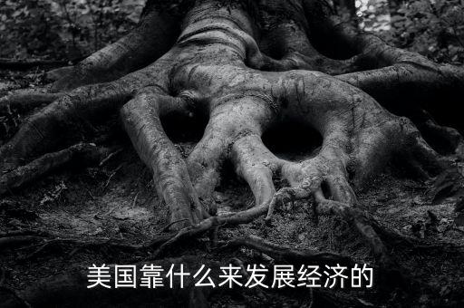 美國(guó)經(jīng)濟(jì)靠什么，美國(guó)靠什么來(lái)發(fā)展經(jīng)濟(jì)的