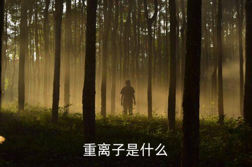 質(zhì)子重離子是什么意思，重離子是什么