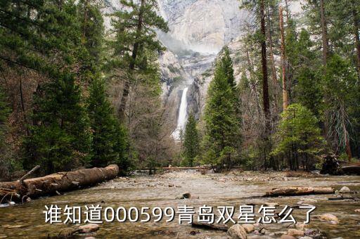 青島雙星什么時候復牌，000560各位大神知道啥時候復牌