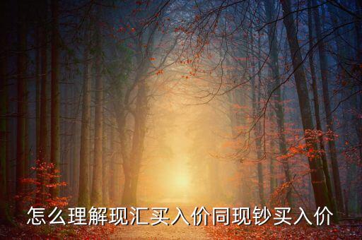 為什么現(xiàn)匯買入價比現(xiàn)鈔買入價高，為什么即期外匯牌價中現(xiàn)匯買入價和現(xiàn)鈔買入價不一樣為什么現(xiàn)匯