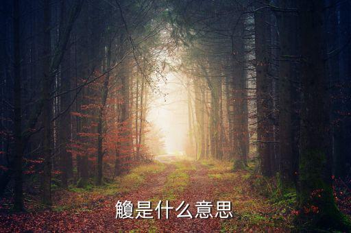 借給側(cè)是什么意思，更衣是什么意思