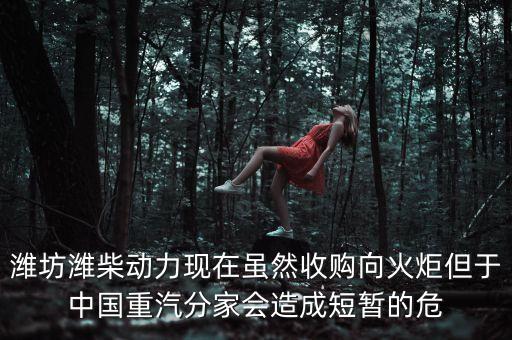 重汽為什么沒有濰柴了，中國重汽還有濰柴發(fā)動機嗎