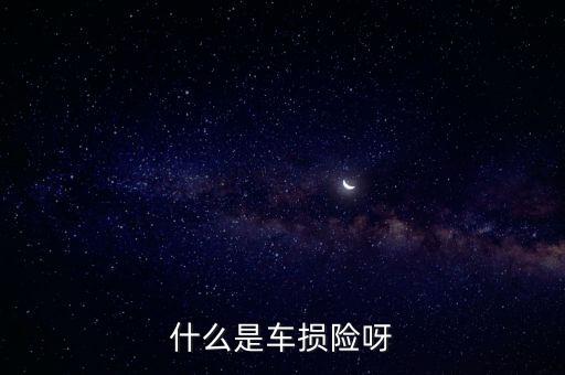 汽車(chē)車(chē)損險(xiǎn)是什么，汽車(chē)什么是車(chē)損險(xiǎn)定義
