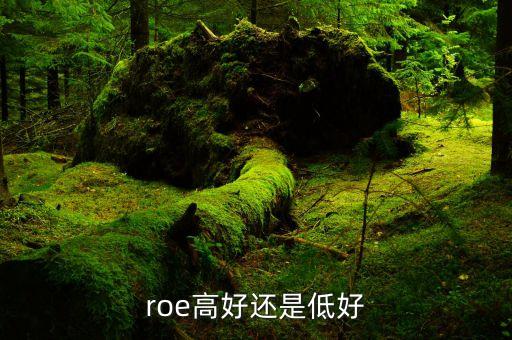 roe低說明什么，凈資產(chǎn)收益率反應(yīng)了些什么