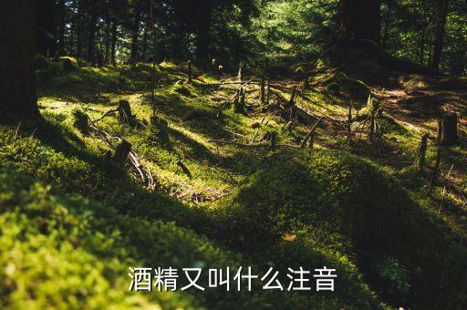 酒經(jīng)酒驚又名什么，酒精又叫什么注音