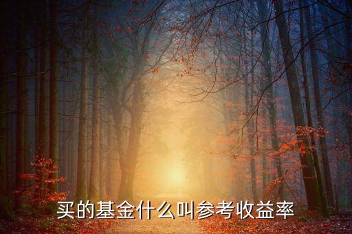 定增基金參考收益是什么意思，基金里面的參考收益率是什么