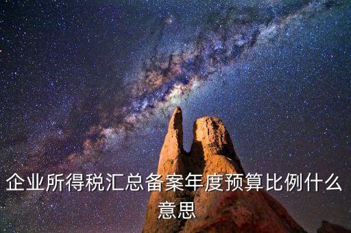 什么是財政調(diào)庫，總機(jī)構(gòu)在國稅繳納所得稅并且企業(yè)所得稅匯總分支機(jī)構(gòu)還用在地稅繳納