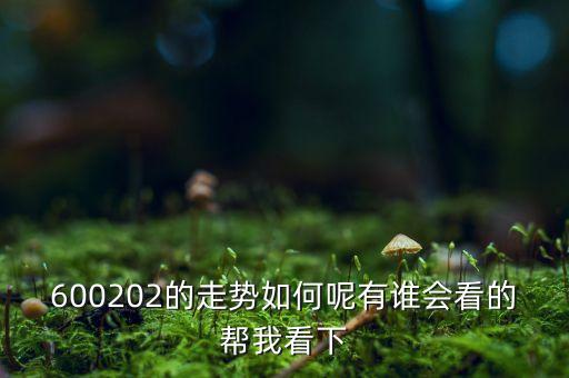 600202有什么概念，誰(shuí)能幫我分析一下600202