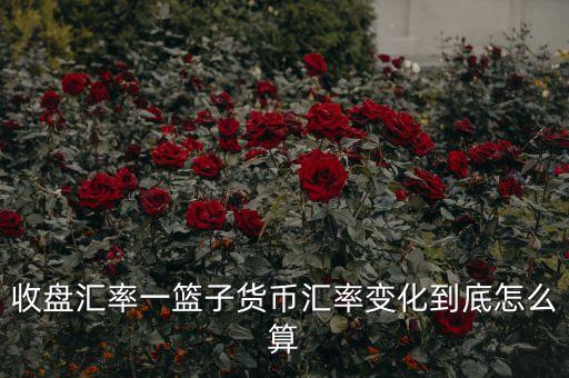 cfets貨幣籃子是什么，CF中籃子和UT代表什么
