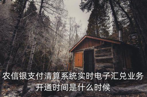 什么是特約電子匯兌，各位大神請問有誰知道建行卡交易明細清單上寫的特約匯融