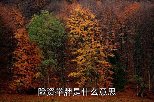 保險資金舉牌是什么意思，險資舉牌是什么意思