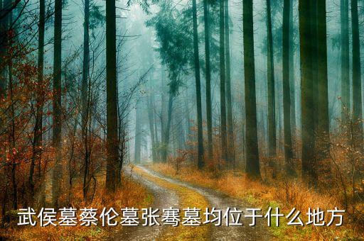 閩臺經(jīng)濟樞紐發(fā)行什么股票，龍之崛起貿(mào)易站數(shù)量