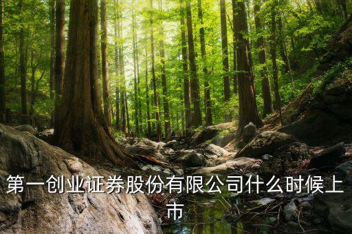 002797什么時候上市，511股市早聞