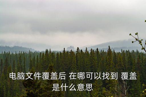 首次覆蓋是什么意思，首次覆蓋給予買入評級 什么意思