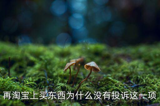 為什么消費(fèi)者網(wǎng)購(gòu)不維權(quán)，再淘寶上買(mǎi)東西為什么沒(méi)有投訴這一項(xiàng)