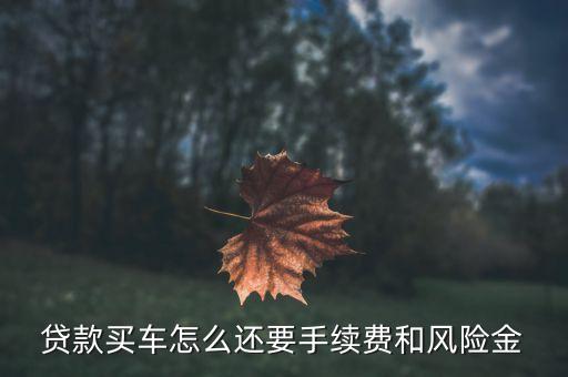 車貸風(fēng)險(xiǎn)金是什么怎么收費(fèi)，我想貸款買車不知道風(fēng)險(xiǎn)擔(dān)保費(fèi)是怎么計(jì)算的