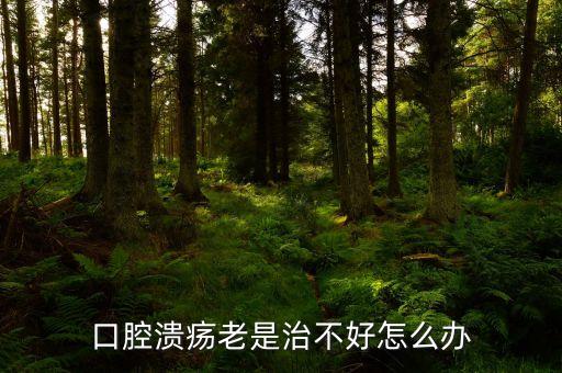 云南咖啡豆在什么時候采摘，云南小?？Х仍趺闯砸髥?/></a></span><span id=