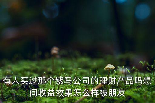 紫馬財(cái)富什么時(shí)間，有人買(mǎi)過(guò)那個(gè)紫馬公司的理財(cái)產(chǎn)品嗎想問(wèn)收益效果怎么樣被朋友