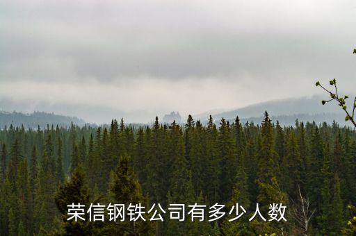 榮信電子有限公司什么時候成立，鞍山榮信電子怎么樣