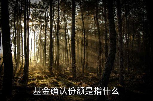 基金的份額指的是什么，基金份額是什么意思