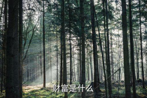 財富是什么莫奈，財富是什么