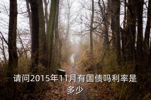 201511月發(fā)行什么國債，請(qǐng)問2015年11月有國債嗎利率是多少