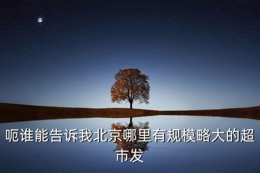 北京超市發(fā)有什么部門，呃誰能告訴我北京哪里有規(guī)模略大的超市發(fā)