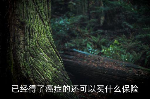 癌癥病人能買什么險(xiǎn)，癌癥患者能參加什么保險(xiǎn)